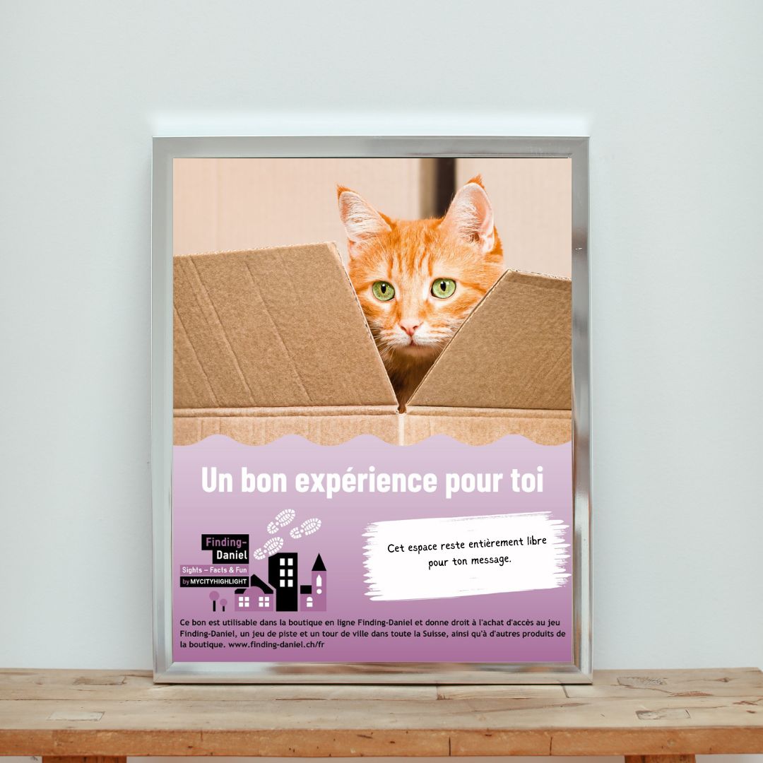 gutschein-neutral-katze-schnitzeljagd-F