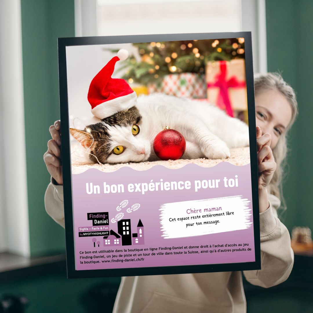 gutschein-weihnacht-katze-schnitzeljagd-F